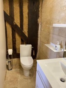 a bathroom with a white toilet and a sink at 16 CHEMIN DE BOISBELET in Coutras