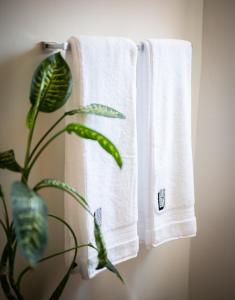 Fotografie z fotogalerie ubytování Hotel Boutique Lafayette Tijuana v destinaci Tijuana