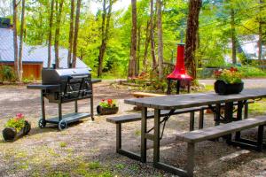 Zahrada ubytování Panketo Lodge & Yoga Studio