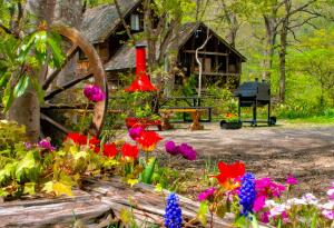 Zahrada ubytování Panketo Lodge & Yoga Studio