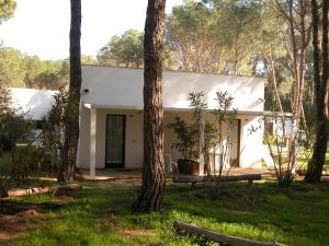 una casa blanca en medio de árboles en Spinnaker en Oristano