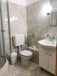 a bathroom with a toilet and a sink at Apartament Onix in Neptun