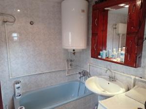 a bathroom with a sink and a bath tub at Laki Marjanovic in Zlatibor