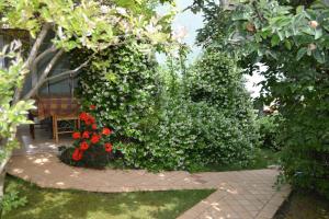 a garden with two bushes and a chair and red flowers at Villa Verde Apartments and Rooms in Premantura
