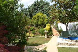 a garden with a path and trees and bushes at Villa Verde Apartments and Rooms in Premantura