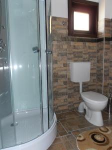 a bathroom with a toilet and a glass shower at Pensiunea Crai Nou in Şirnea +30 photos