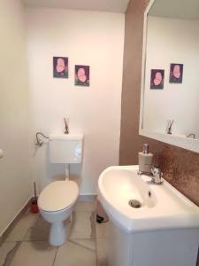 Koupelna v ubytování Village holiday apartman with heated pool Maslina