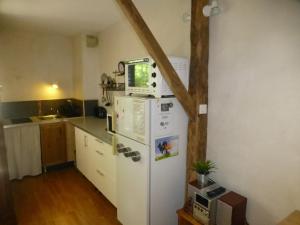 a kitchen with a refrigerator with a microwave on top of it at Studio Brides-les-Bains, 1 pièce, 4 personnes - FR-1-512-223 in Brides-les-Bains