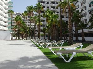 a row of chaise lounge chairs on the grass with palm trees at Lighthouse Friendly Holiday Home in Playa del Ingles