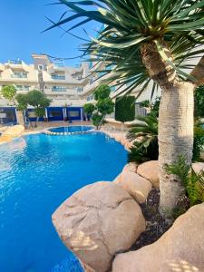 a swimming pool with a palm tree next to a building at Apartment Costa Lunar in Cabo Roig in Playas de Orihuela