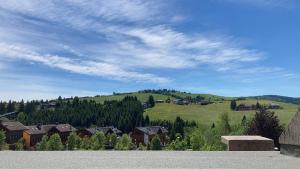 a town on a hill with houses and trees at Appartamento a Gallio con vista sul Sacello in Gallio