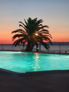 una palma seduta accanto alla piscina di CAMPEGGIO PARCO DEI PINI a San Feliciano