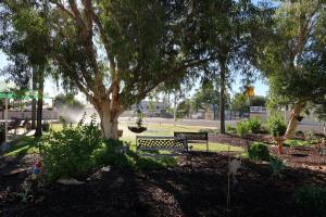 a park with a bench under a tree at Charleville Waltzing Matilda Motor Inn in Charleville