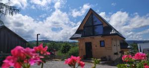 a small house with a window on top of it at Domek w Tatrach - Osada Ostrysz in Dzianisz