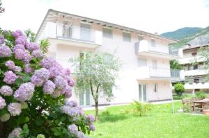 Výhľad na hory alebo výhľad na hory priamo z apartmánu