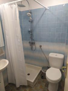 a bathroom with a shower with a toilet and a sink at Alykes Studio Rental in Alykes