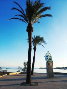 due palme e un monumento su una spiaggia di Ca la Nuri Pis 3 a Llança