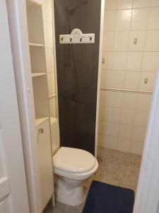 ポルヴォーにあるPiispan majatalo, pieni erillistaloの小さなバスルーム(トイレ、シャワー付)
