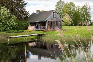 a house on the shore of a lake with a dock at Auru Cīruļi in Auri