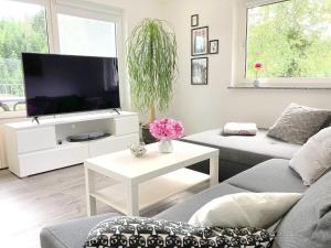 Un televizor și/sau centru de divertisment la Ferienwohnung am Hörnle
