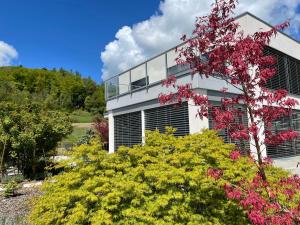 Imagine din galeria proprietății Belair Beinwil - B&B în Beinwil