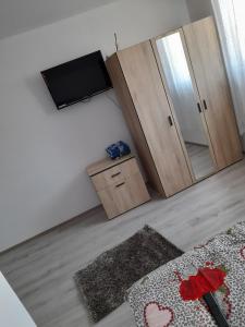Zimmer mit einem Spiegel, einem TV und einem Teppich in der Unterkunft Casa Alex in Cîrţişoara
