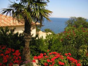un palmier dans un jardin avec des fleurs rouges dans l'établissement La Côte Bleue, à Sainte-Lucie de Porto-Vecchio