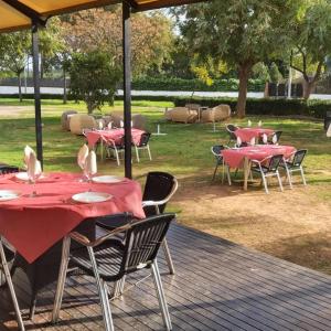 Zahrada ubytování Hotel Lluna