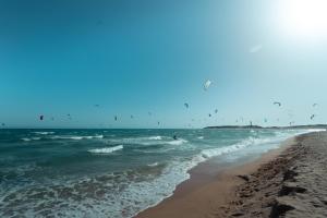 stado ptaków latających nad plażą w obiekcie Kampaoh Trafalgar w mieście Los Caños de Meca +30 zdjęć