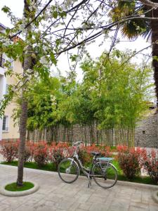 Attività di ciclismo presso l'hotel o nelle vicinanze