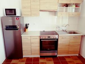 a kitchen with a stainless steel refrigerator and a sink at Melina's Apartments in Kalavárda