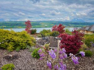 Imagine din galeria proprietății Belair Beinwil - B&B în Beinwil +110 fotografii