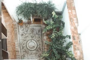 Imagen de la galería de Fery & Nico, en Granada