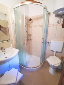 a bathroom with a shower and a toilet and a sink at Studio Apartment Belvedere in Grožnjan