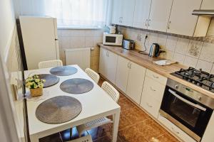 Kuchyňa alebo kuchynka v ubytovaní Apartament Witkiewicza Sanok