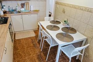 Kuchyňa alebo kuchynka v ubytovaní Apartament Witkiewicza Sanok