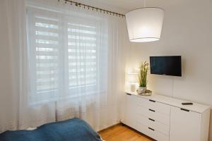 Televízia a/alebo spoločenská miestnosť v ubytovaní Apartament Witkiewicza Sanok
