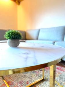 a coffee table with a plant on top of it at Großzügige Ferienwohnung am Tegernsee mit Südbalkon und Wallbergblick in Bad Wiessee