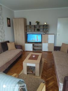 uma sala de estar com um sofá e uma TV em Apartman Ivan em Vrdnik