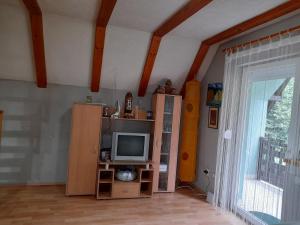 a living room with a tv on a wooden cabinet at Holiday home Milenkovic in Vrnjačka Banja