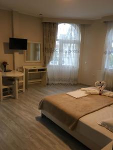 - une chambre avec un lit, un bureau et une télévision dans l'établissement DyHouse, à Slatina