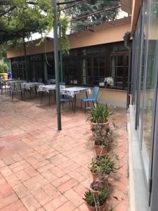 リヴォルノにあるHotel Amico Fritzのギャラリーの写真 +16枚の写真