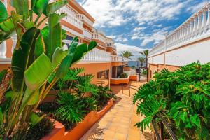Zahrada ubytování Tenerife Royal Gardens One Bedroom Apartment