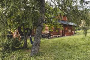 Vonkajšia záhrada v ubytovaní Apartamenty Polana Pająkówka