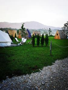 White Tent Mountain View in camp Garden Parkにある庭