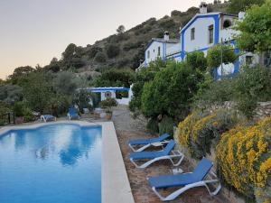 une piscine avec des chaises bleues et un bâtiment dans l'établissement El Rincon de Carmen, à Rute