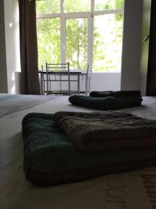 ein Bett mit zwei Kissen und einem Fenster in der Unterkunft Apartament Renata in Orşova