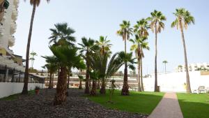 A garden outside Swimsuit Friendly Holiday Home