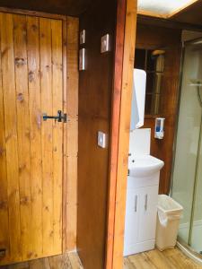 a bathroom with a wooden door and a toilet at The Dainty Den in Twitchen