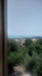 a view from a train window of a field of trees at Casa Giulia in Porto SantʼElpidio